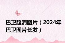 巴卫超清图片（2024年巴卫图片长发）