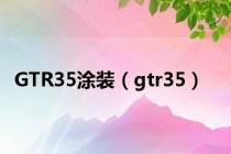 GTR35涂装（gtr35）