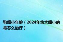 狗细小年龄（2024年幼犬细小病毒怎么治疗）