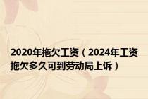 2020年拖欠工资（2024年工资拖欠多久可到劳动局上诉）