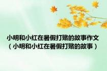 小明和小红在暑假打赌的故事作文（小明和小红在暑假打赌的故事）