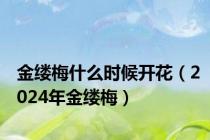 金缕梅什么时候开花（2024年金缕梅）