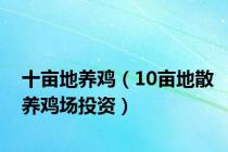 十亩地养鸡（10亩地散养鸡场投资）