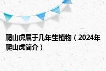 爬山虎属于几年生植物（2024年爬山虎简介）