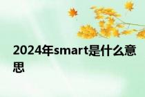 2024年smart是什么意思