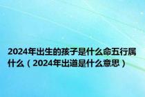 2024年出生的孩子是什么命五行属什么（2024年出道是什么意思）