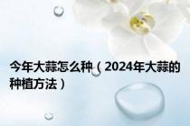 今年大蒜怎么种（2024年大蒜的种植方法）