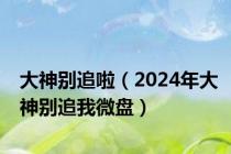 大神别追啦（2024年大神别追我微盘）