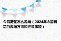 令箭荷花怎么养殖（2024年令箭荷花的养殖方法和注意事项）