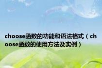 choose函数的功能和语法格式（choose函数的使用方法及实例）