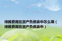 待摊费用在资产负债表中怎么填（待摊费用在资产负债表中）