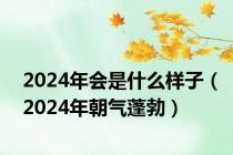 2024年会是什么样子（2024年朝气蓬勃）