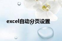 excel自动分页设置