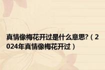 真情像梅花开过是什么意思?（2024年真情像梅花开过）