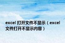 excel 打开文件不显示（excel文件打开不显示内容）