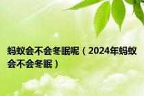 蚂蚁会不会冬眠呢（2024年蚂蚁会不会冬眠）