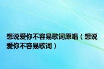 想说爱你不容易歌词原唱（想说爱你不容易歌词）