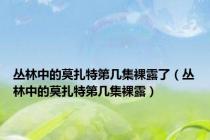 丛林中的莫扎特第几集裸露了（丛林中的莫扎特第几集裸露）