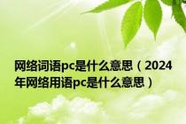 网络词语pc是什么意思（2024年网络用语pc是什么意思）