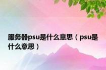 服务器psu是什么意思（psu是什么意思）