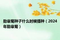 勋章菊种子什么时候播种（2024年勋章菊）