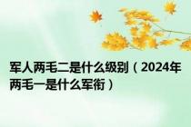 军人两毛二是什么级别（2024年两毛一是什么军衔）