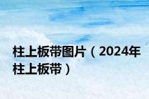 柱上板带图片（2024年柱上板带）