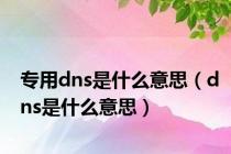 专用dns是什么意思（dns是什么意思）