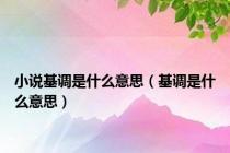 小说基调是什么意思（基调是什么意思）