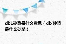 db1砂浆是什么意思（dbi砂浆是什么砂浆）