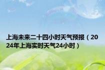 上海未来二十四小时天气预报（2024年上海实时天气24小时）