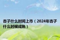 杏子什么时间上市（2024年杏子什么时候成熟）