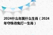 2024什么年属什么生肖（2024年守株待兔打一生肖）