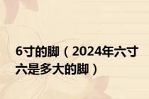 6寸的脚（2024年六寸六是多大的脚）