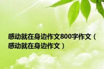 感动就在身边作文800字作文（感动就在身边作文）