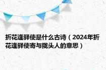 折花逢驿使是什么古诗（2024年折花逢驿使寄与陇头人的意思）