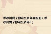 季凉川爱了你这么多年全四册（季凉川爱了你这么多年3）