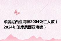 印度尼西亚海啸2004死亡人数（2024年印度尼西亚海啸）