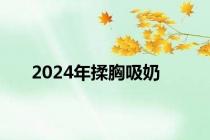 2024年揉胸吸奶