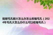 脸部毛孔粗大怎么办怎么收缩毛孔（2024年毛孔大怎么办什么可以收缩毛孔）