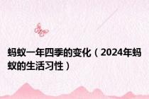 蚂蚁一年四季的变化（2024年蚂蚁的生活习性）