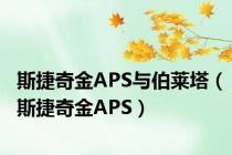 斯捷奇金APS与伯莱塔（斯捷奇金APS）