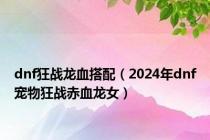 dnf狂战龙血搭配（2024年dnf宠物狂战赤血龙女）