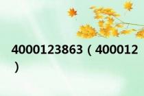 4000123863（400012）