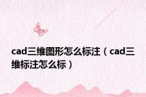 cad三维图形怎么标注（cad三维标注怎么标）