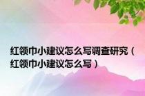 红领巾小建议怎么写调查研究（红领巾小建议怎么写）