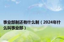 事业部制还有什么制（2024年什么叫事业部）