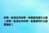 你想一夜成名吗你想一夜暴富吗是什么歌（你想一夜成名吗你想一夜暴富吗什么歌里面的）