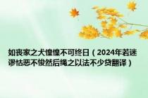 如丧家之犬惶惶不可终日（2024年若迷谬怙恶不悛然后绳之以法不少贷翻译）