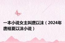 一本小说女主叫唐以沫（2024年唐裕夏以沫小说）